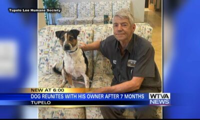 Dog reunited with owner after seven months in Lee County