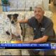 Dog reunited with owner after seven months in Lee County