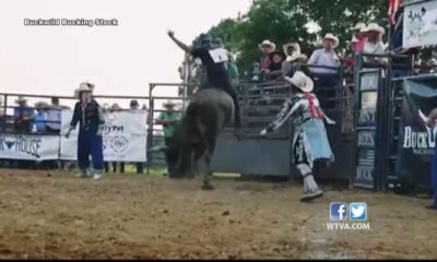 ‘Amory Bulls Bulls on Main’ being present for free in Amory