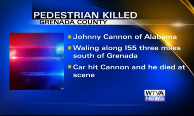 Pedestrian struck and killed in Grenada