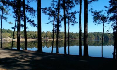 Renovations continue at Clarkco State Park, but nature trail completed