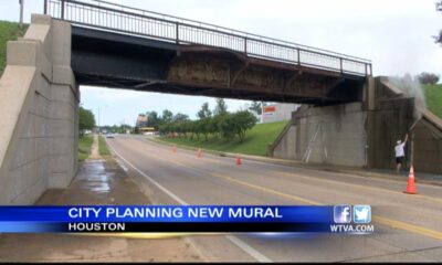 New mural to brighten up Houston bridge