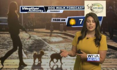 Dog Walk Forecast for June 13th – Hugo