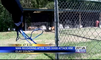 Man recovering after dog attack in Clay County