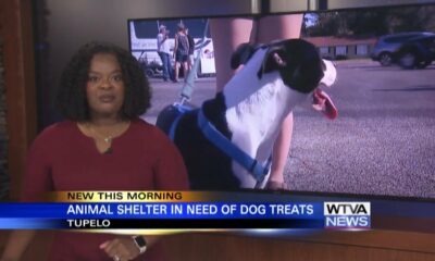 Tupelo Lee Humane Society asking for dog treats