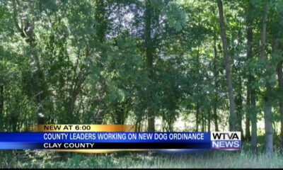 Clay County works to create new ordinance after dog attack