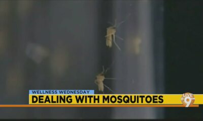 Wellness Wednesday: How to deal with mosquitoes