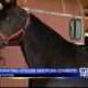 Juneteenth celebration to celebrate African-American cowboys