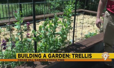 How to build a trellis for your garden