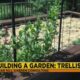 How to build a trellis for your garden