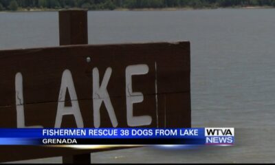 Fishermen rescued 38 dogs from Grenada Lake