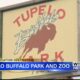 Staycation Destination: Tupelo Buffalo Park and Zoo