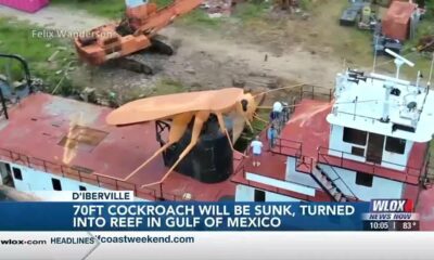 70-foot cockroach to be sunk into Gulf of Mexico to create reef
