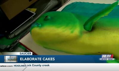 Coast Life: Cake maker brings joy with elaborated creations