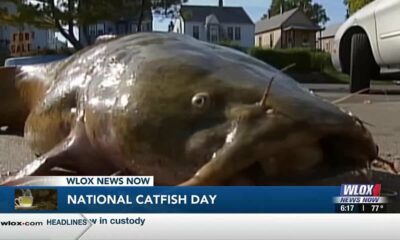 GMM celebrating National Catfish Day