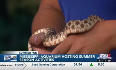 Mississippi Aquarium hosting summer season activities