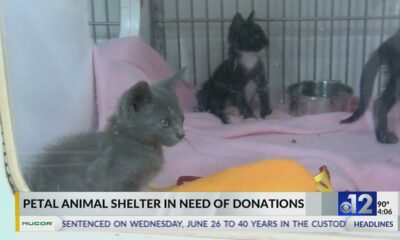 New Hope Animal Rescue in need of donations for new facility