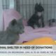 New Hope Animal Rescue in need of donations for new facility