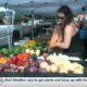 Ocean Springs Fresh Market sees brisk business despite heat