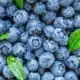 June Signifies Blueberry Season | Our Mississippi Home