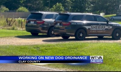 Clay County sheriff wants new dog ordinance