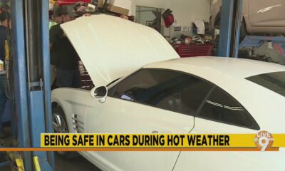 Wellness Wednesday: How to stay safe in cars during hot weather
