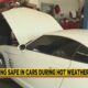 Wellness Wednesday: How to stay safe in cars during hot weather