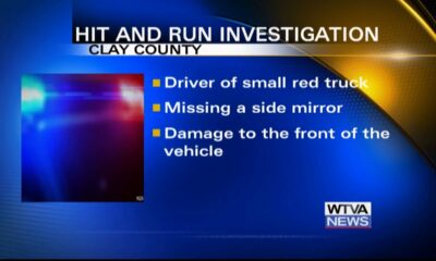 Driver sought in hit-and-run that led to horse’s death in Clay County