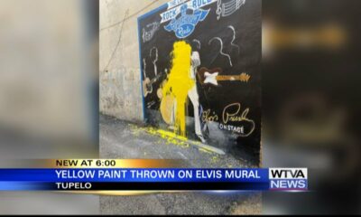 Elvis Presley mural in downtown Tupelo vandalized