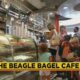 The Beagle Bagel Cafe