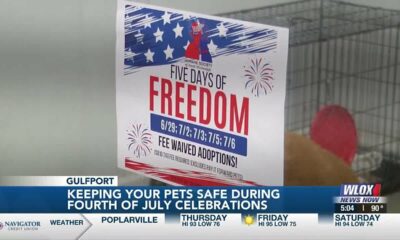 Humane Society of South Mississippi preparing for ‘massive influx’ of stray animals following Fou…