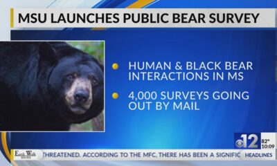 Mississippi State launches public survey on black bears