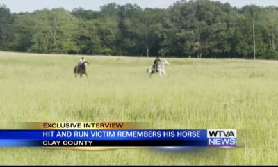 “He was like my best friend.” Horse killed, high schooler injured during hit-and-run in West