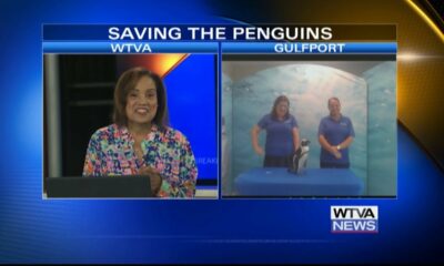 Interview: Mississippi Aquarium hosting fundraiser for penguin preservation