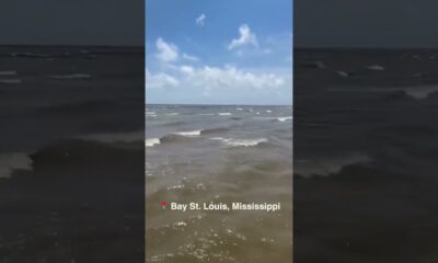 Alligator spotted peeping at beachgoers on Mississippi Gulf Coast