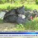 Jackson man continues to clean up property despite illegal dumping