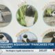 Mississippi Aquarium holds pancake fundraiser to help build penguin exhibit