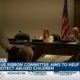 Blue Ribbon Committee working to improve standards for interventions in alleged child abuse cases