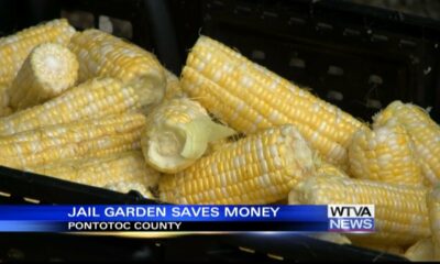 Pontotoc County jail saves money with fresh-grown corn