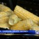 Pontotoc County jail saves money with fresh-grown corn