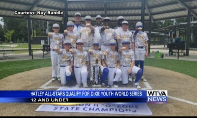 Local team to represent Mississippi in Dixie Youth World Series