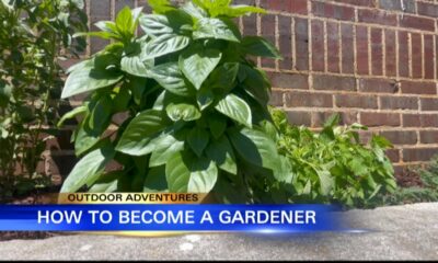 Outdoor Adventures with Chelsea: Herb Gardening