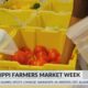 MDAC marks Mississippi Farmers Market Week