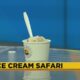 Jackson Zoo to host 2024 Ice Cream Safari