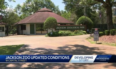 Jackson Zoo hopes to win back accreditation