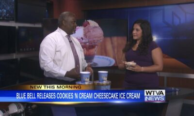 Blue Bell unveils Cookies ‘n Cream Cheesecake ice cream