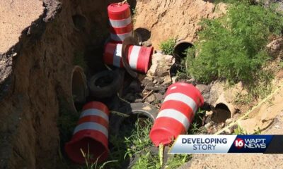 Huge hole with plant growth, barrels mars Jackson street