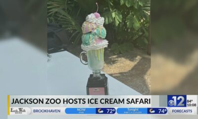 Jackson Zoo hosts 2024 Ice Cream Safari