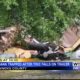 Pregnant woman rescued after tree falls on her home