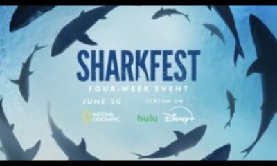 Sharkfest 2024